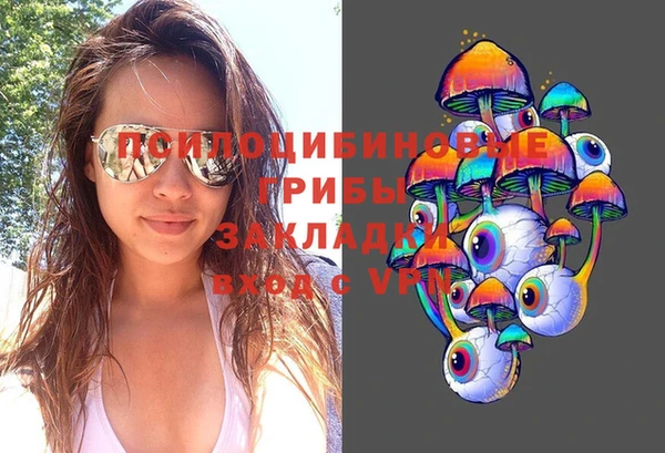 стаф Белоозёрский